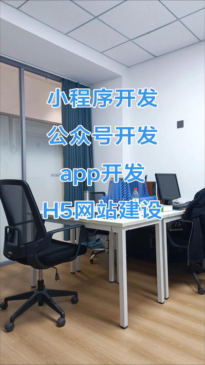 APP定制：为何选择专业团队而非自行开发